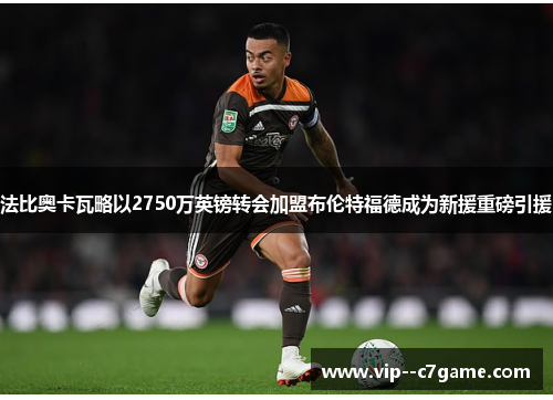 法比奥卡瓦略以2750万英镑转会加盟布伦特福德成为新援重磅引援